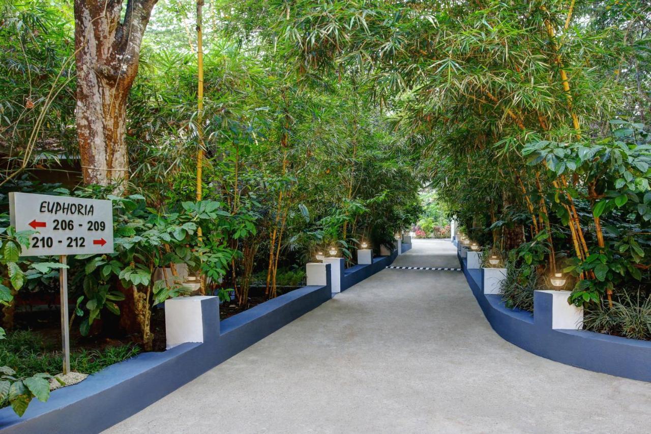 Gokulam Grand Resort & Spa, Coorg Kushālnagar Buitenkant foto
